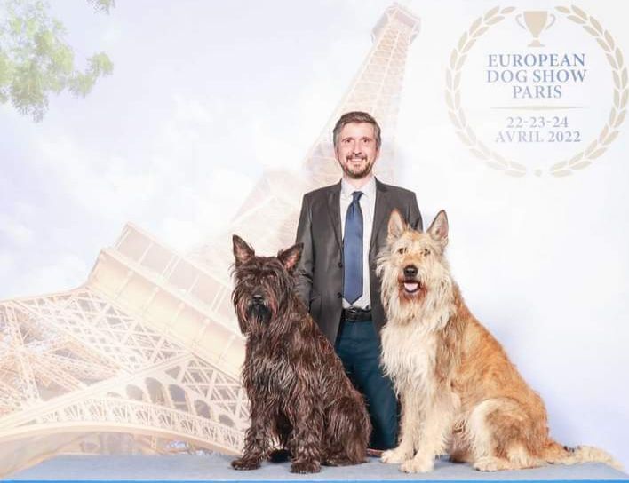 Des Brumes De Sirius - Retour de l'European Dog Show