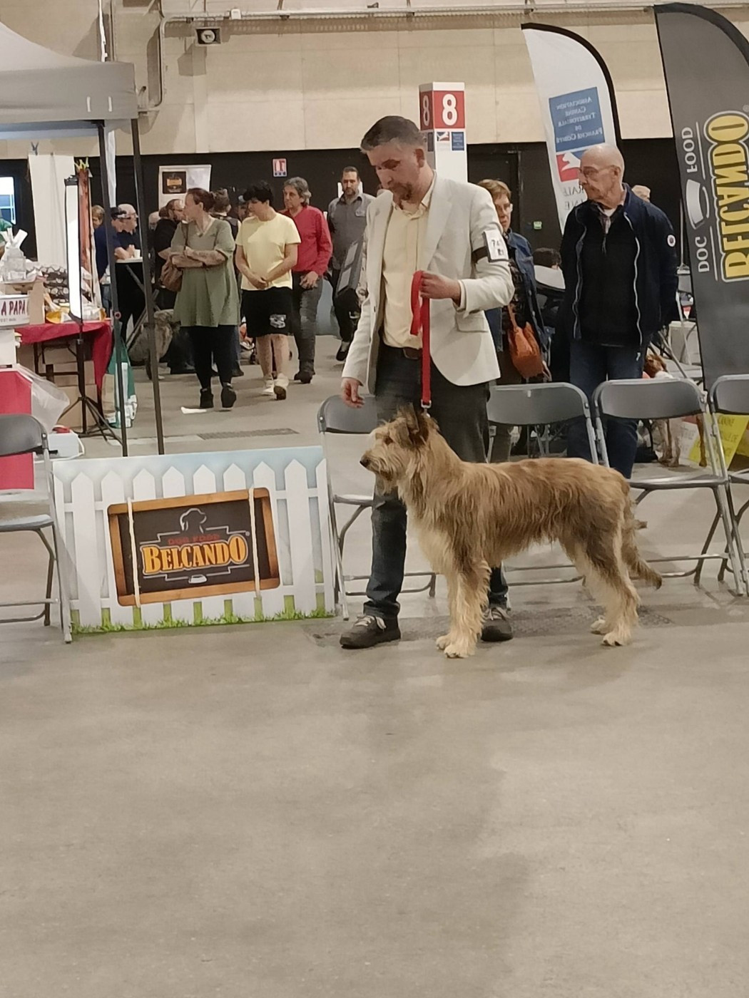 Des Brumes De Sirius - Expo de Lons 7 mars 2026