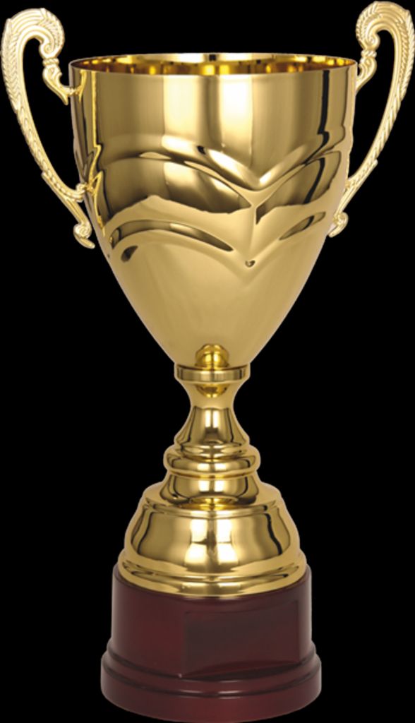 Des Brumes De Sirius - Deux champions de France à la maison!
